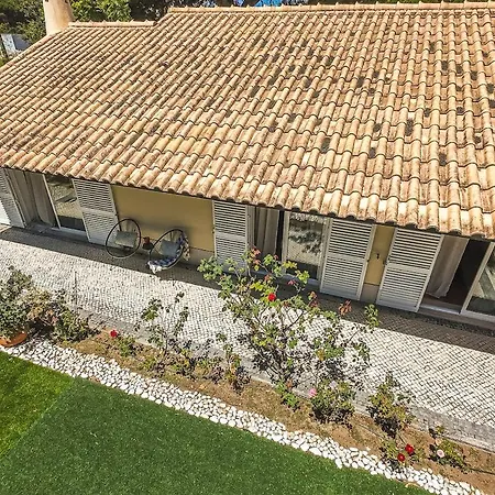 Casa Da Palmeira