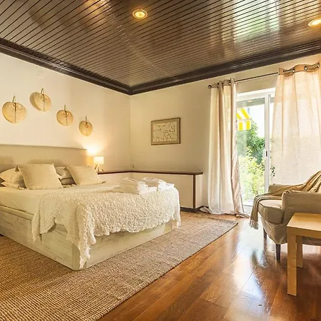 Casa Da Palmeira 別荘 *