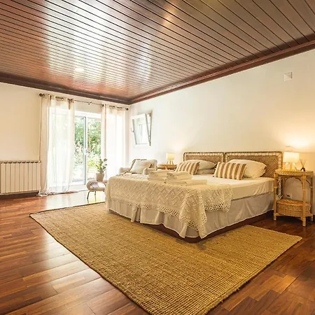 Casa Da Palmeira 別荘 *